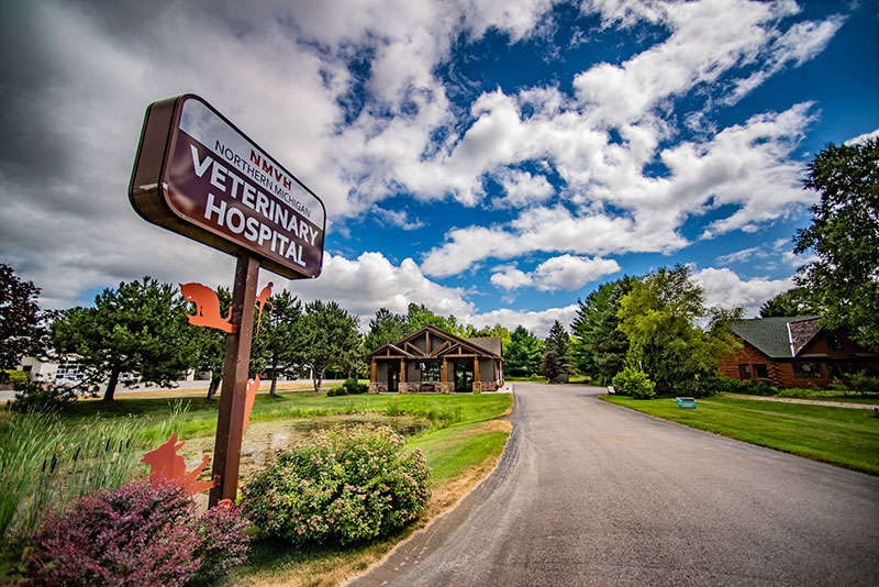 Williamsburg MI pet hospital