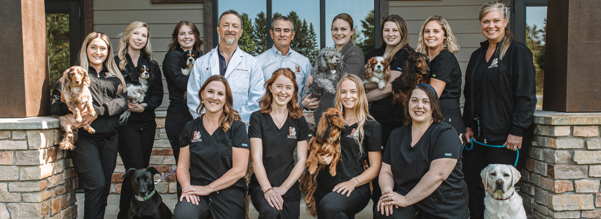 Northern Michigan Veterinary Hospital Team Photo